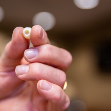 Small teeth model in the dentist's hand