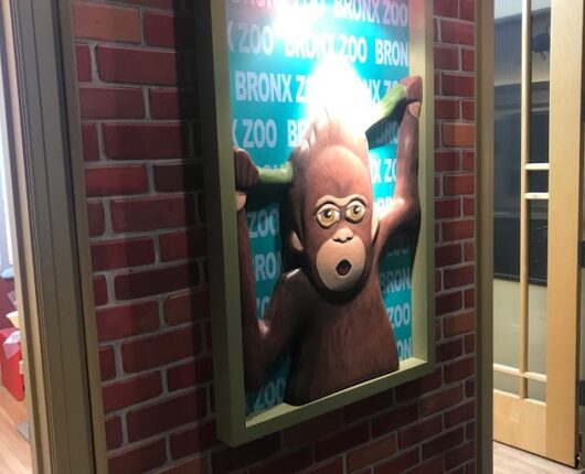 Monkey 3-D photo frame on the dentistry wall