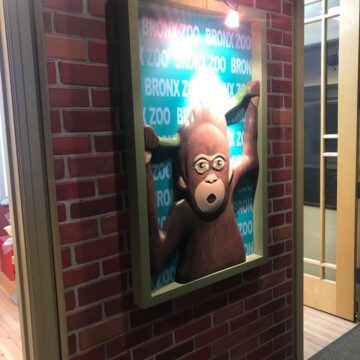 Monkey 3-D photo frame on the dentistry wall